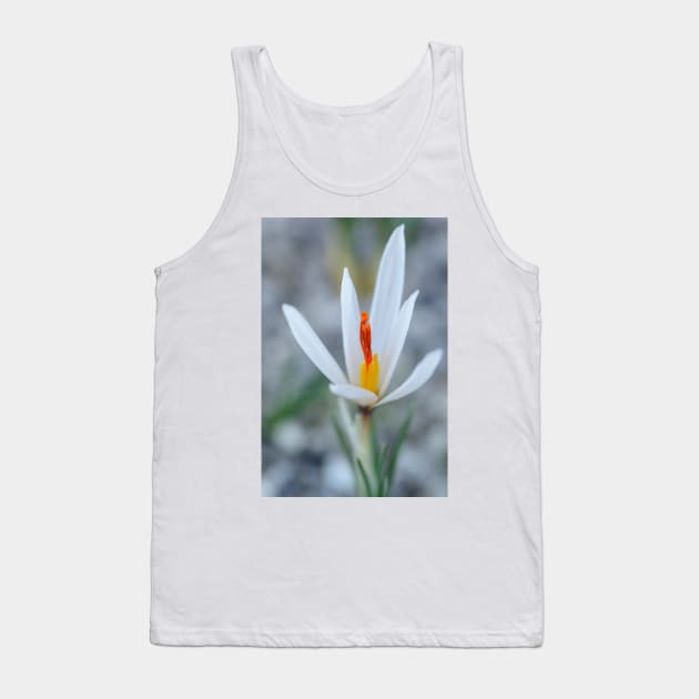 Crocus fleischeri Tank Top by chrisburrows